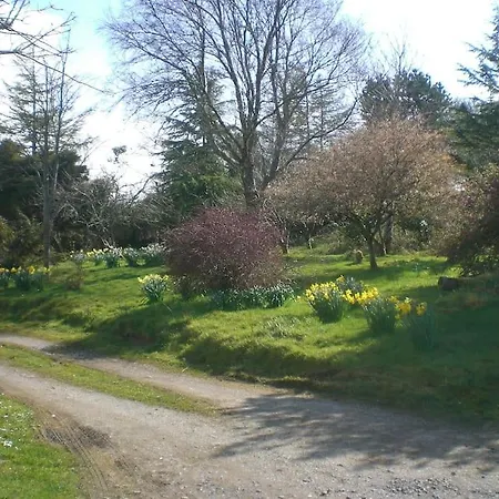 Innisfreedom דירה