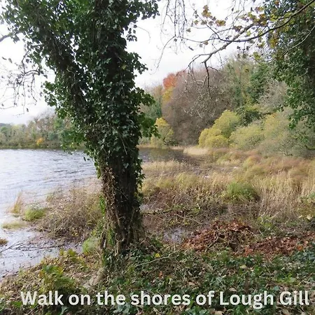 Innisfreedom דירה סליגו