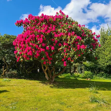 דירה Innisfreedom *