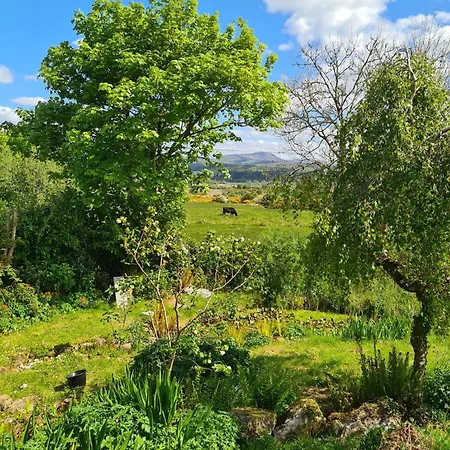 Innisfreedom سلايغو