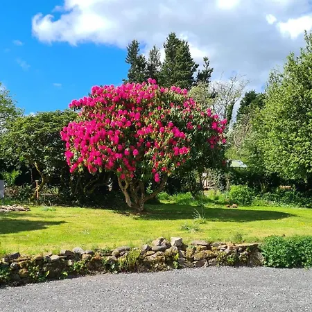Innisfreedom * Sligo