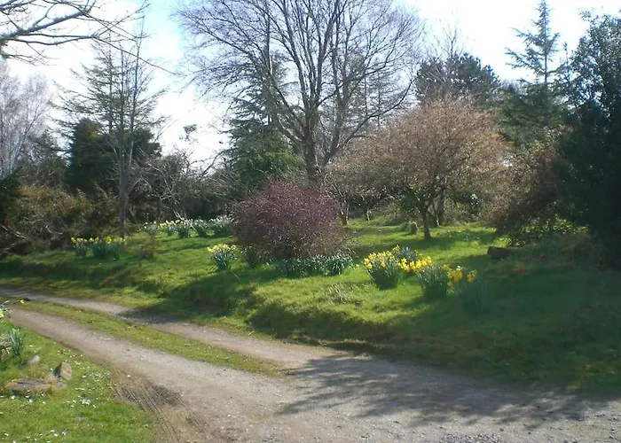 Innisfreedom アパート