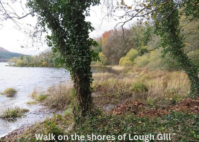 Innisfreedom Apartment Sligo