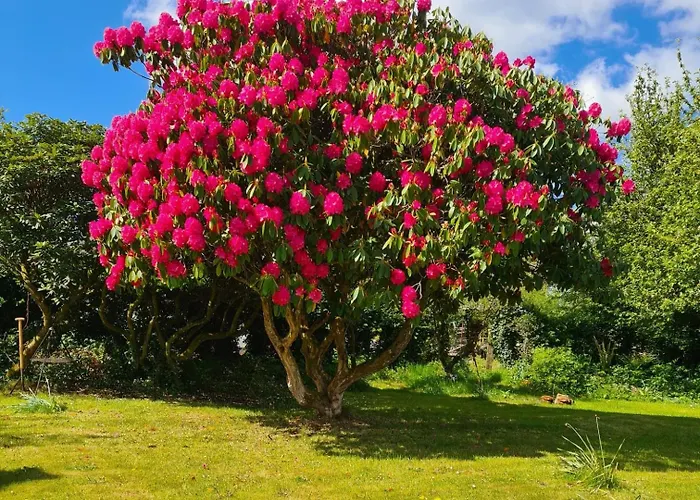 アパート Innisfreedom *