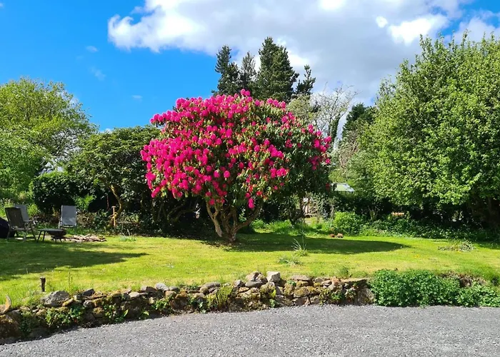 Innisfreedom * Sligo